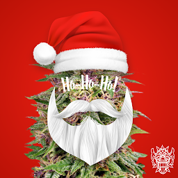 Photo n°15 de Barong CBD - Delta-9 THC - 10-OH-HHC Sanary sur Mer à Sanary-sur-Mer (Boutique de cigarettes électroniques)