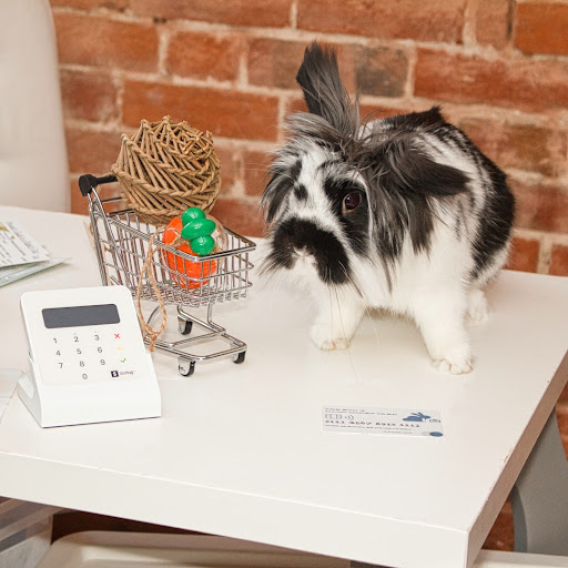 Rabbit Retail - Visual