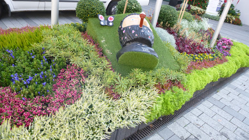 Blumen Lessle - Visual