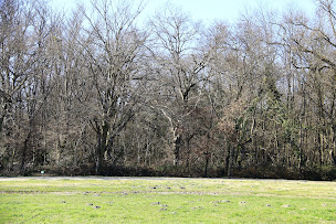 Photo n°2 de Aire de stationnement du Château Saint Ahon à Blanquefort (Terrain pour camping-cars)