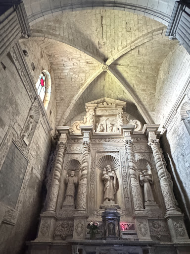 Musei Tecum - Visual