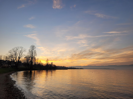 Photo de Plage de Messery à Messery (74140)