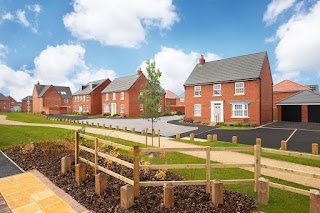David Wilson Homes - Ashlawn Gardens