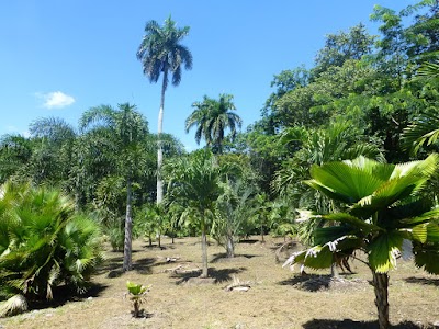 Photos of Rancho Los Cacaos
