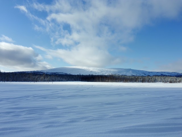 Lapland Safaris Luosto