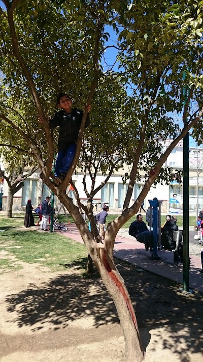 Photos of Friendship Park