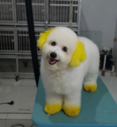 Photos of Pioneer Pet Care (Pet Shop)