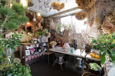 花 太陽 雨 Yomaps Net