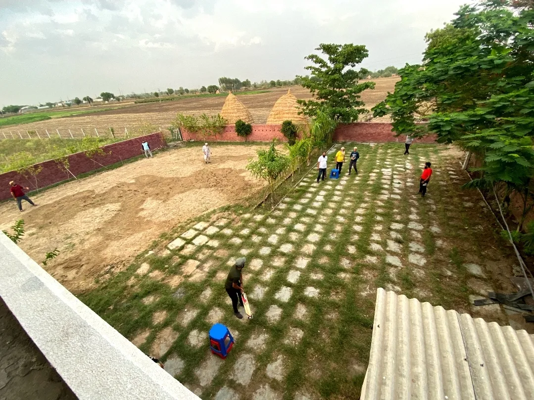 Lamiyah Farms