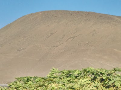 Photos of Rancho OVEJA NEGRA