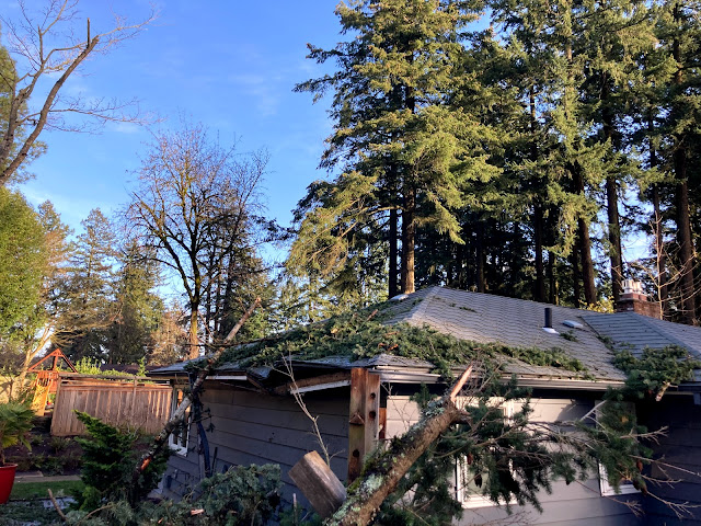 SERVPRO of Southwest Portland