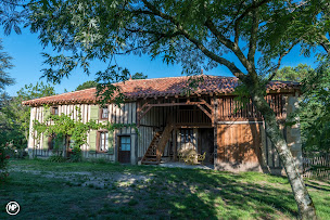 Photo n°35 de Chambres d’hôtes et gîtes Lou Castet de Lussolle - 40240 à Losse (Piscine extérieure)