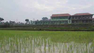 school