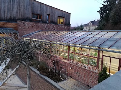 Photos of Selling garden Cerveny Kostelec, Ltd. Trees