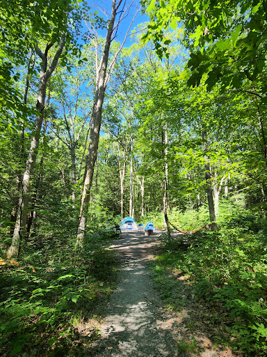 Locust Lake State Park Campground - Thumbnail