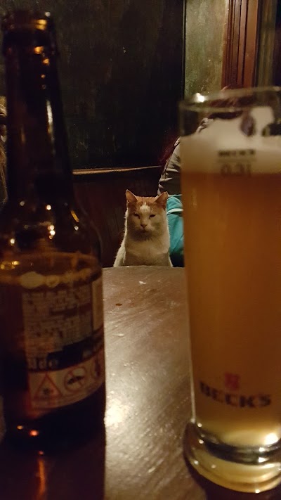 Photos of Karga Bar