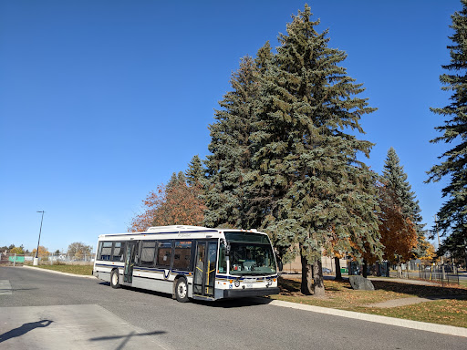 Cooper Terminal, Stratford Transit - Thumbnail