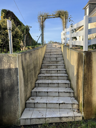 DMS BATIMENT - Visual