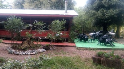 Photos of Termas Angostura