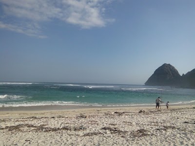 Photos of Tropical Beach