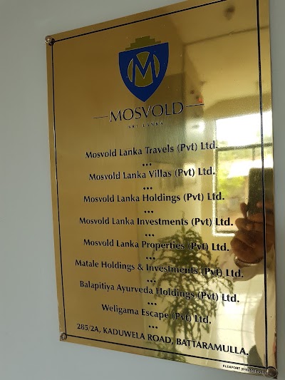 travel-agency