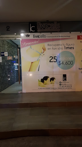 Spa Livecells - Visual