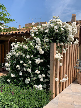 Les Hamaques - a charming little hotel by null