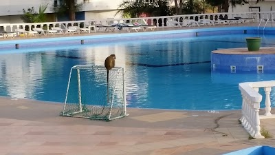 Photos of Palma Rima Hotel