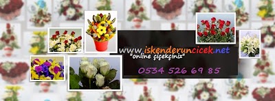 Photos of İskenderun Deniz &Ccedil;i&ccedil;ek&ccedil;ilik