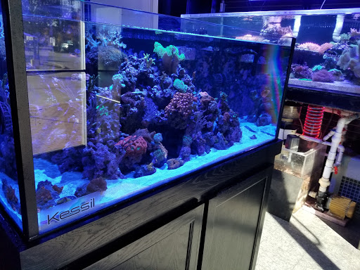 Robert's Reef - Thumbnail