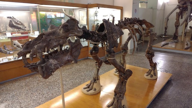 Musée Archéologique National