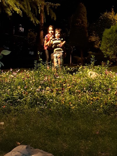 Photos of پارک کودکان
