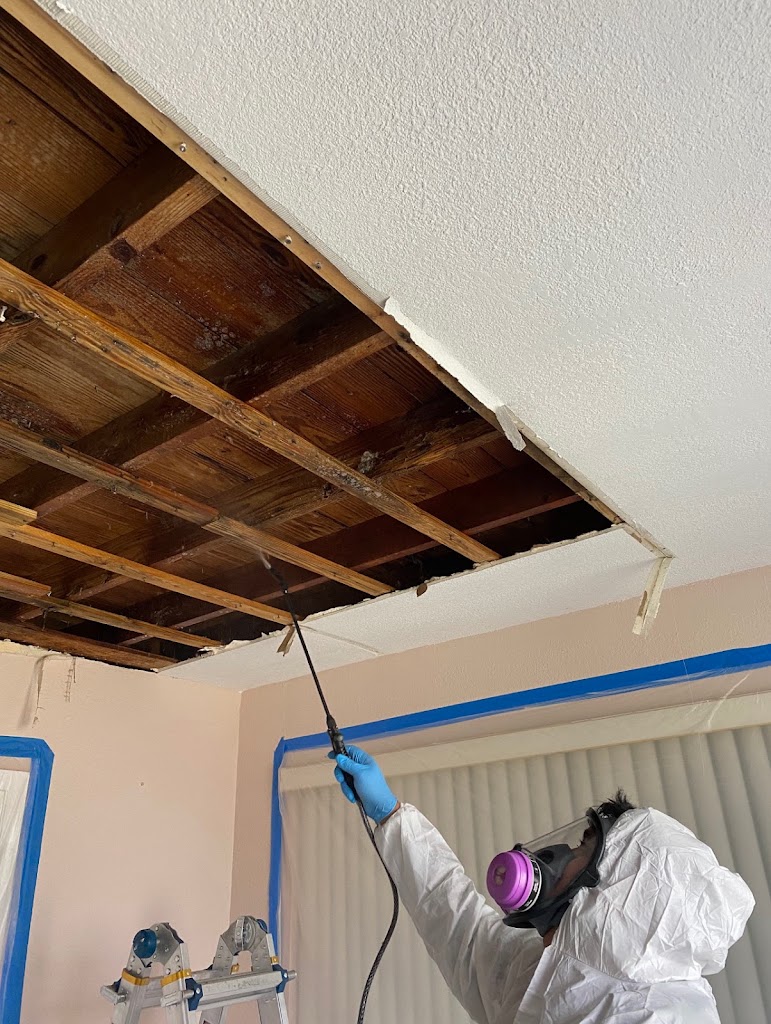 911 Mold Testing. Water and Mold Damage Remediation photo
