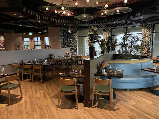 Brasa Brazilian Steakhouse - Thumbnail