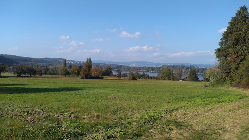 Allmannsdorf's cemetery - Thumbnail