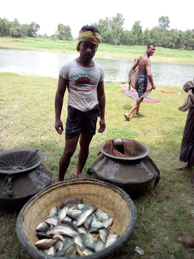 Photos of বিল