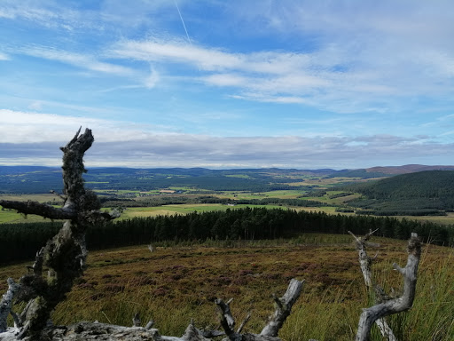 Cromdale Village Hall - Thumbnail