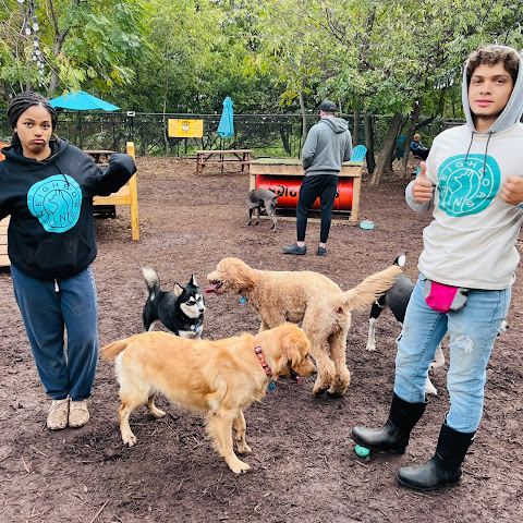 Neighbors Dog Park & Cafe by null