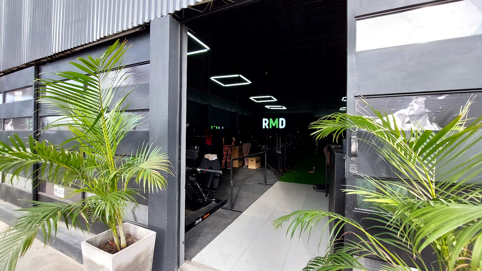 Rmd 2