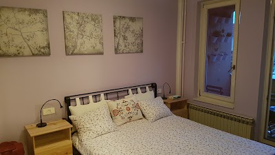 Photos of Apartment Biscan