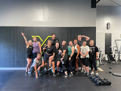 Project Y Training