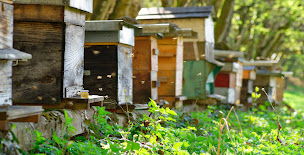 Photo n°4 de Yann Bresson Apiculteur à Villard-Bonnot (Ferme bio)
