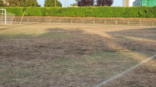 Stade Municipal de Châteauneuf-sur-Charente - Thumbnail