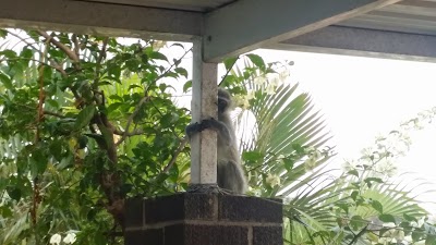 Photos of Nicorene Bed & Breakfast