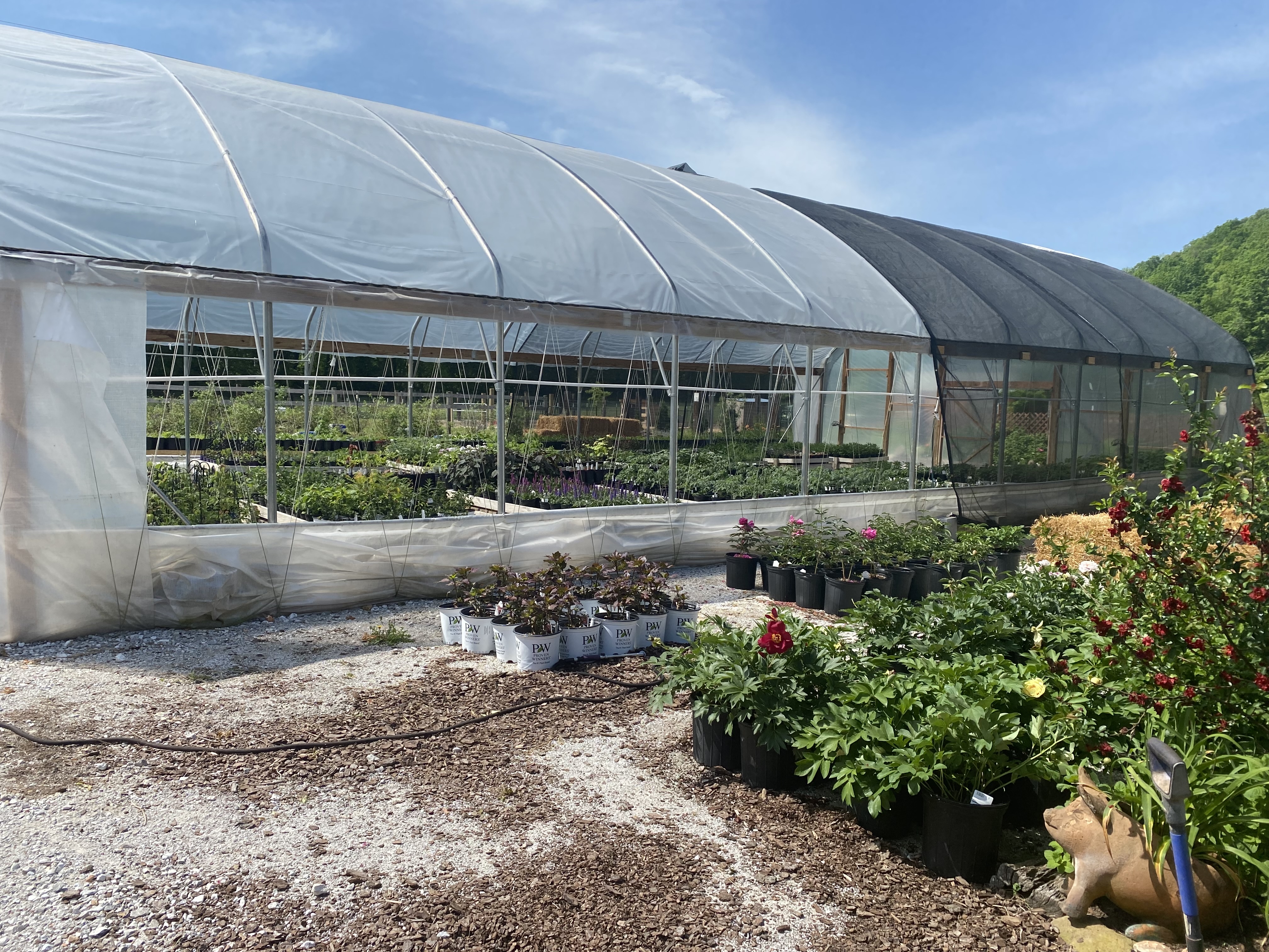 Back In Thyme Gardens & Culinary Center, LLC