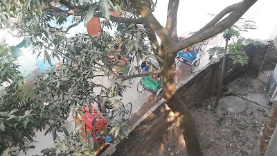 Photos of Raj. Stone, Muhaimin Al Razi