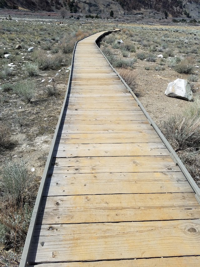 Mono Lake Tufa Reserve