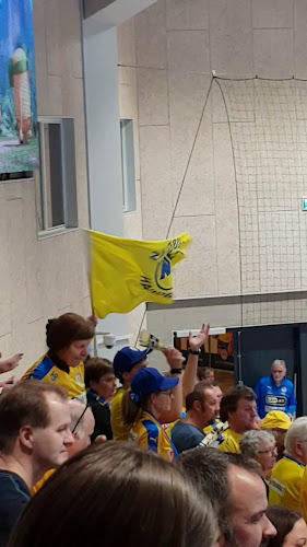 https://guldborgsundhallerne.dk/huse-og-haller/nykoebing-falster-hallerne/