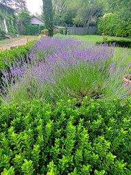 Photo n°13 de Maison d'hôtes La Pradasse à Ayguesvives (Chambre d'hôtes)