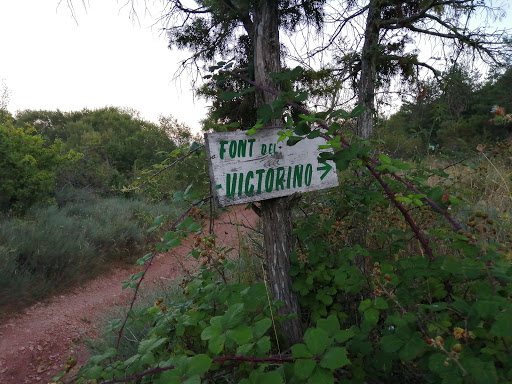 Font del Victorino